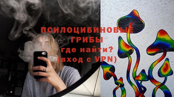 прущие грибы Кукмор