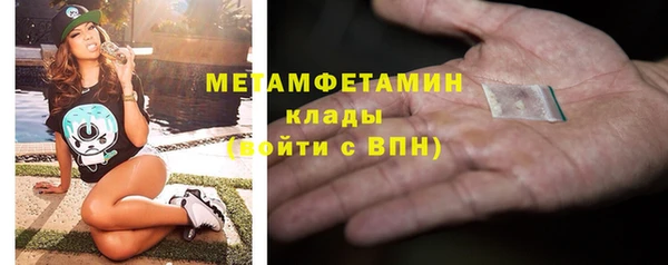 прущие грибы Кукмор