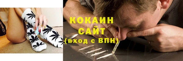 прущие грибы Кукмор