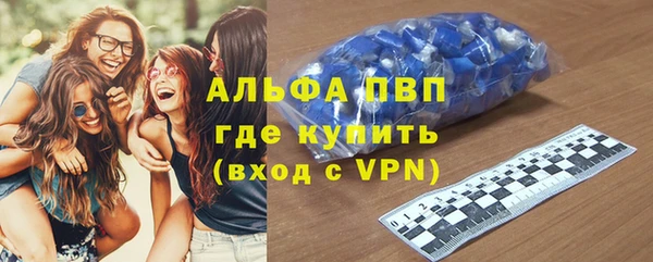 прущие грибы Кукмор