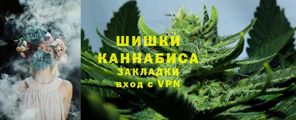 прущие грибы Кукмор