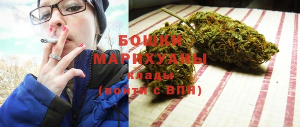 прущие грибы Кукмор